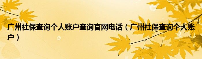 广州社保查询个人账户查询官网电话（广州社保查询个人账户）