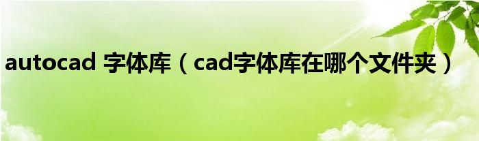 autocad 字体库（cad字体库在哪个文件夹）