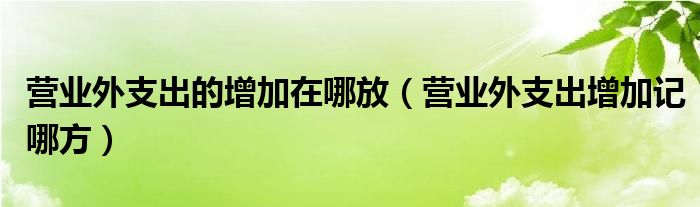 营业外支出的增加在哪放（营业外支出增加记哪方）