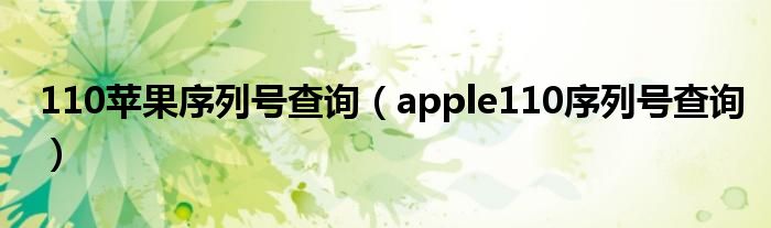 110苹果序列号查询（apple110序列号查询）