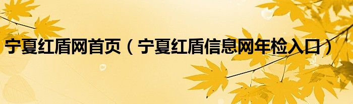 宁夏红盾网首页（宁夏红盾信息网年检入口）