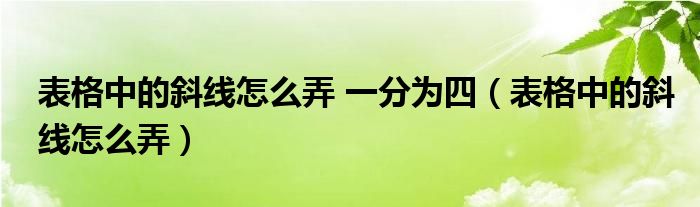 表格中的斜线怎么弄 一分为四（表格中的斜线怎么弄）