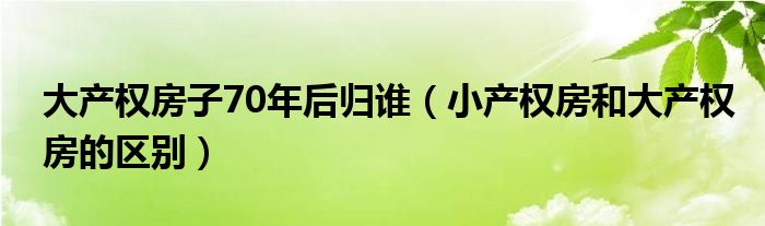 大产权房子70年后归谁（小产权房和大产权房的区别）