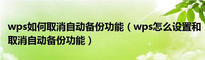 wps如何取消自动备份功能（wps怎么设置和取消自动备份功能）