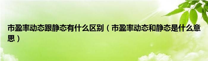 市盈率动态跟静态有什么区别（市盈率动态和静态是什么意思）