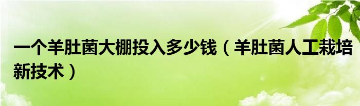 一个羊肚菌大棚投入多少钱（羊肚菌人工栽培新技术）