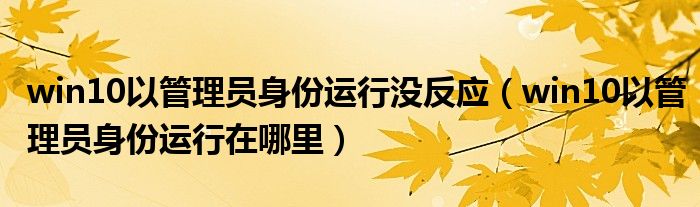 win10以管理员身份运行没反应（win10以管理员身份运行在哪里）