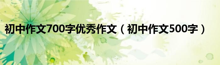 初中作文700字优秀作文（初中作文500字）