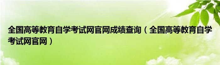 全国高等教育自学考试网官网成绩查询（全国高等教育自学考试网官网）