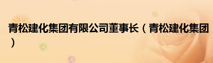 青松建化集团有限公司董事长（青松建化集团）