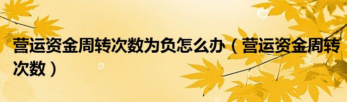 营运资金周转次数为负怎么办（营运资金周转次数）