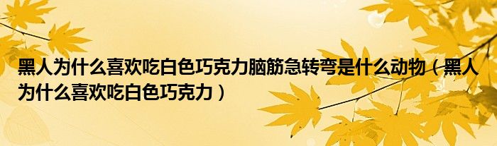 黑人为什么喜欢吃白色巧克力脑筋急转弯是什么动物（黑人为什么喜欢吃白色巧克力）