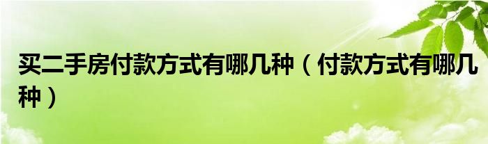 买二手房付款方式有哪几种（付款方式有哪几种）