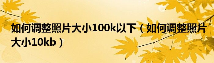 如何调整照片大小100k以下（如何调整照片大小10kb）