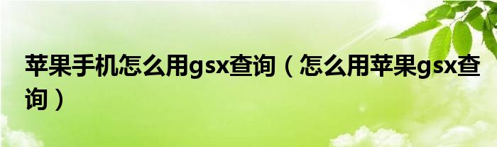 苹果手机怎么用gsx查询（怎么用苹果gsx查询）