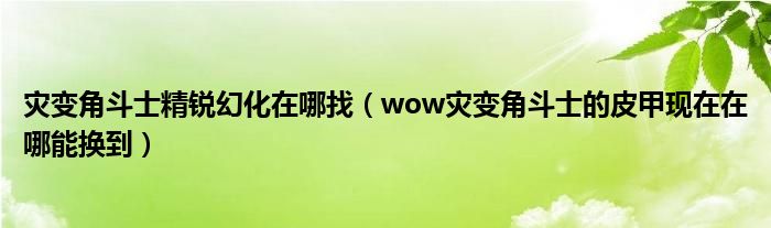 灾变角斗士精锐幻化在哪找（wow灾变角斗士的皮甲现在在哪能换到）