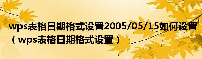 wps表格日期格式设置2005/05/15如何设置（wps表格日期格式设置）