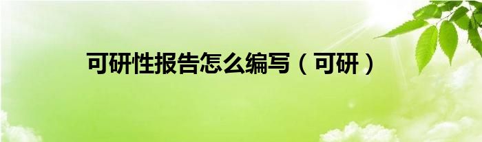 可研性报告怎么编写（可研）