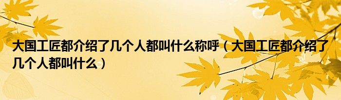 大国工匠都介绍了几个人都叫什么称呼（大国工匠都介绍了几个人都叫什么）