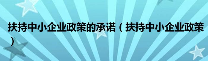 扶持中小企业政策的承诺（扶持中小企业政策）