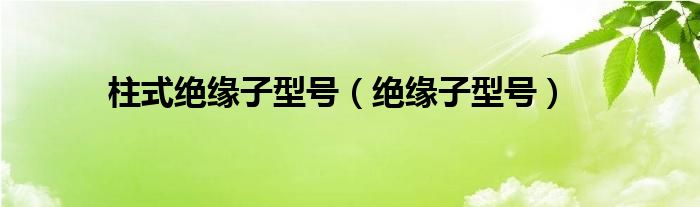 柱式绝缘子型号（绝缘子型号）