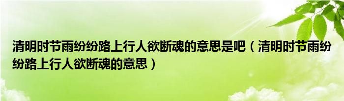 清明时节雨纷纷路上行人欲断魂的意思是吧（清明时节雨纷纷路上行人欲断魂的意思）