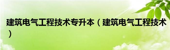 建筑电气工程技术专升本（建筑电气工程技术）