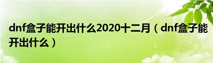 dnf盒子能开出什么2020十二月（dnf盒子能开出什么）