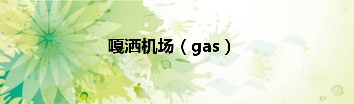 嘎洒机场（gas）