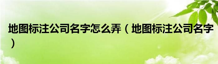 地图标注公司名字怎么弄（地图标注公司名字）