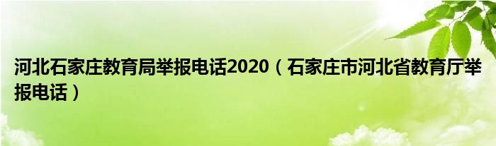 河北石家庄教育局举报电话2020（石家庄市河北省教育厅举报电话）