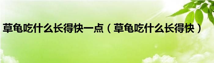 草龟吃什么长得快一点（草龟吃什么长得快）