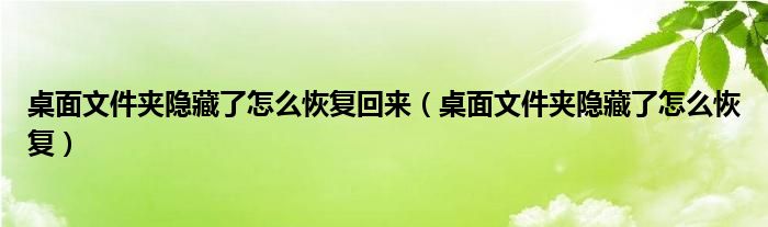 桌面文件夹隐藏了怎么恢复回来（桌面文件夹隐藏了怎么恢复）