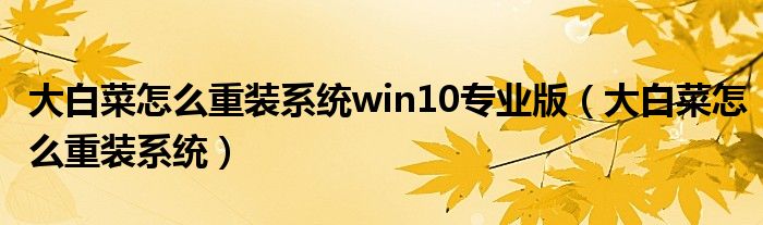 大白菜怎么重装系统win10专业版（大白菜怎么重装系统）