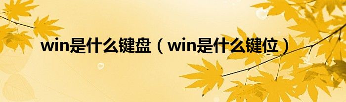 win是什么键盘（win是什么键位）