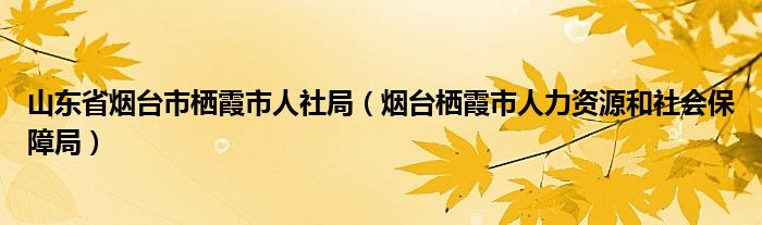 山东省烟台市栖霞市人社局（烟台栖霞市人力资源和社会保障局）