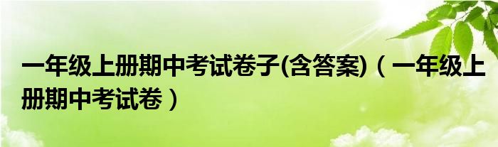 一年级上册期中考试卷子(含答案)（一年级上册期中考试卷）