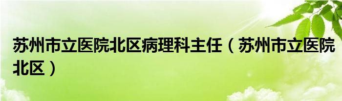 苏州市立医院北区病理科主任（苏州市立医院北区）