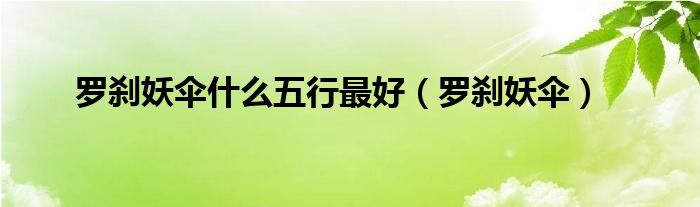 罗刹妖伞什么五行最好（罗刹妖伞）