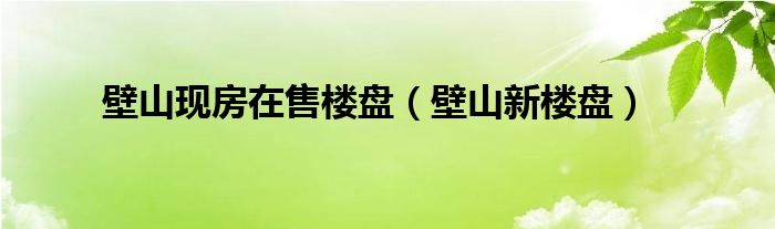 壁山现房在售楼盘（壁山新楼盘）