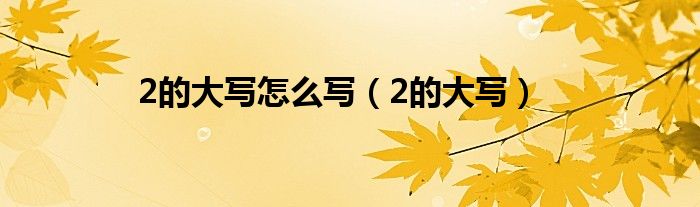 2的大写怎么写（2的大写）