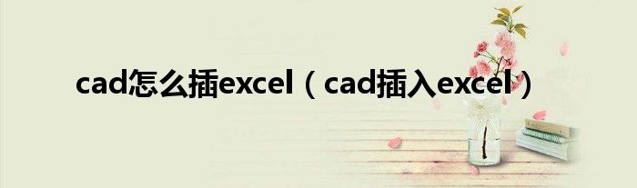 cad怎么插excel（cad插入excel）