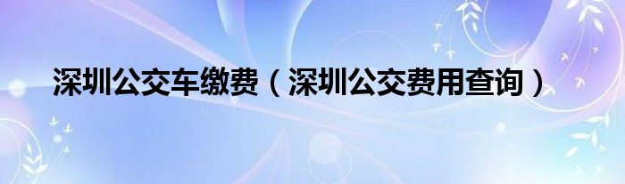 深圳公交车缴费（深圳公交费用查询）