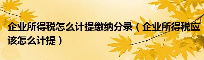 企业所得税怎么计提缴纳分录（企业所得税应该怎么计提）