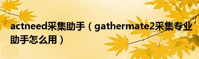 actneed采集助手（gathermate2采集专业助手怎么用）