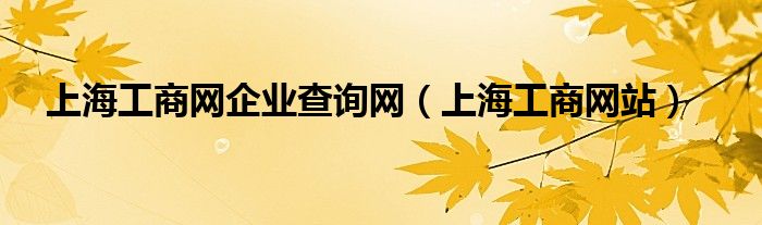 上海工商网企业查询网（上海工商网站）