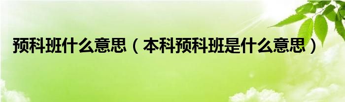 预科班什么意思（本科预科班是什么意思）