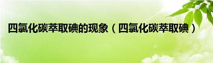 四氯化碳萃取碘的现象（四氯化碳萃取碘）