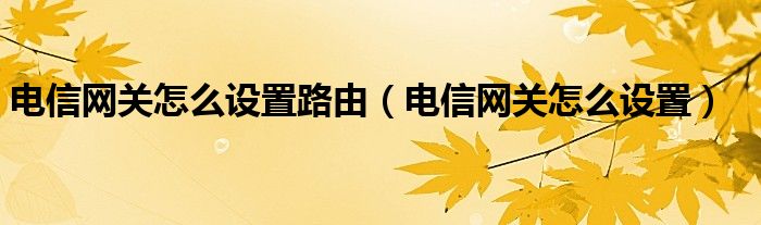 电信网关怎么设置路由（电信网关怎么设置）