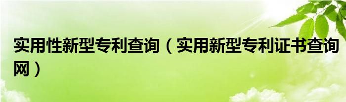 实用性新型专利查询（实用新型专利证书查询网）